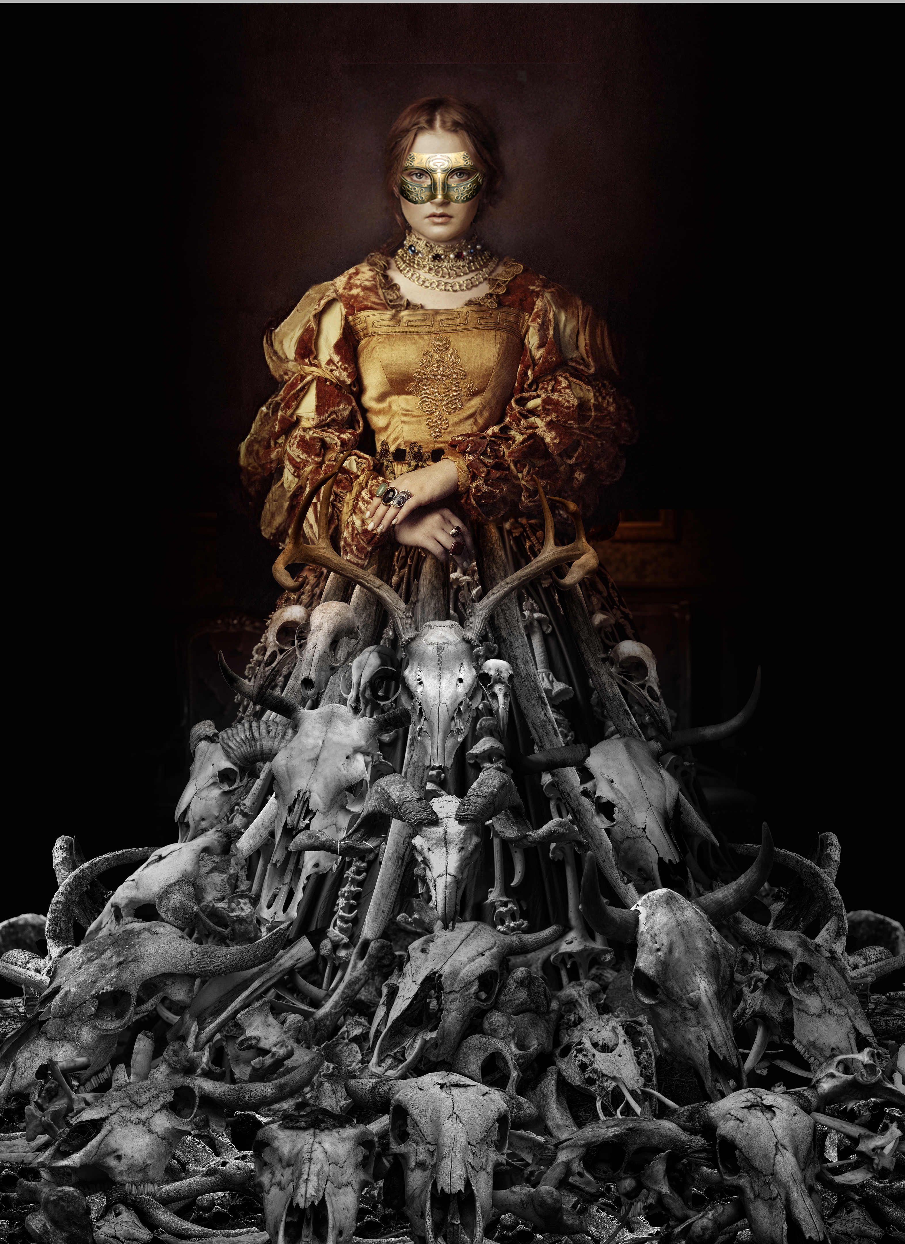 The Plantagenet and Tudor Novels